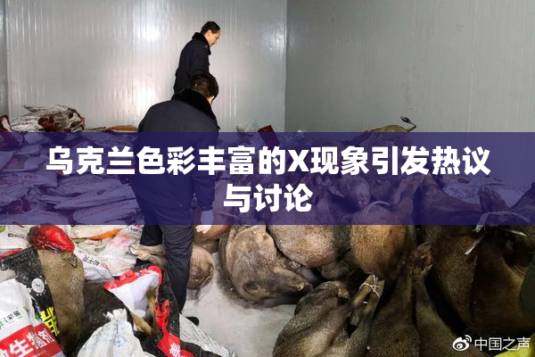 乌克兰色彩丰富的X现象引发热议与讨论