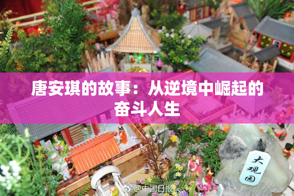 唐安琪的故事：从逆境中崛起的奋斗人生