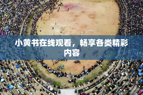 小黄书在线观看，畅享各类精彩内容