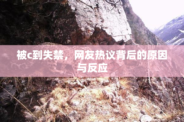 被c到失禁，网友热议背后的原因与反应