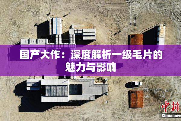 国产大作：深度解析一级毛片的魅力与影响