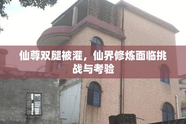 仙尊双腿被灌，仙界修炼面临挑战与考验