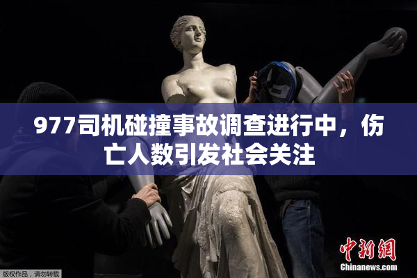 977司机碰撞事故调查进行中，伤亡人数引发社会关注