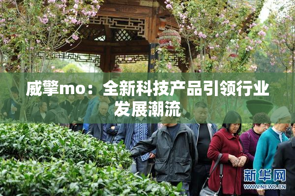 威擎mo：全新科技产品引领行业发展潮流