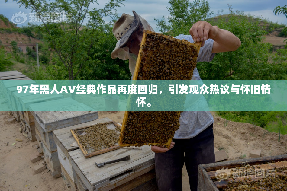 97年黑人AV经典作品再度回归，引发观众热议与怀旧情怀。