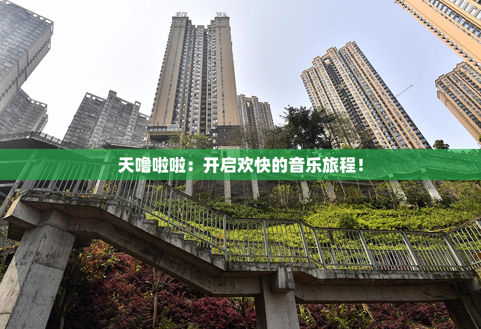 天噜啦啦：开启欢快的音乐旅程！