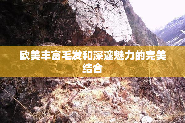 欧美丰富毛发和深邃魅力的完美结合