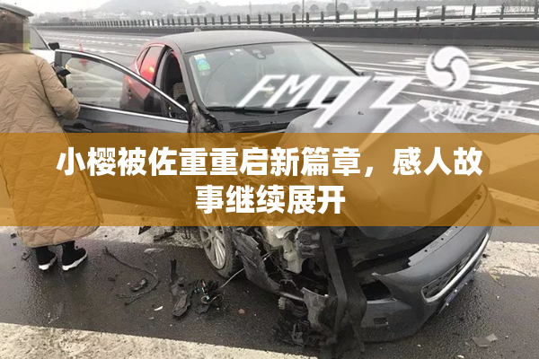 小樱被佐重重启新篇章，感人故事继续展开