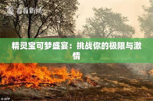 精灵宝可梦盛宴：挑战你的极限与激情