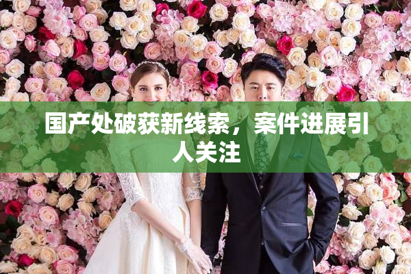 国产处破获新线索，案件进展引人关注