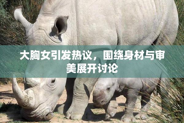 大胸女引发热议，围绕身材与审美展开讨论
