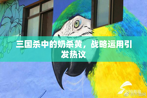 三国杀中的奶杀黄，战略运用引发热议