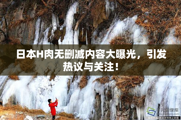 日本H肉无删减内容大曝光，引发热议与关注！