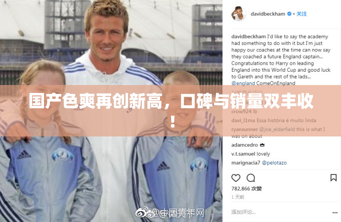 国产色爽再创新高，口碑与销量双丰收！