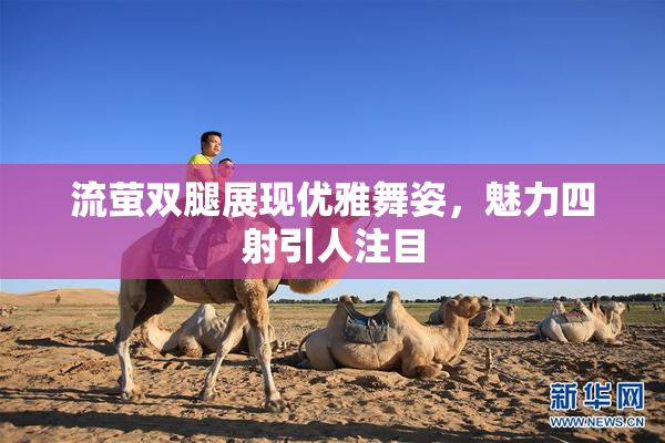 流萤双腿展现优雅舞姿，魅力四射引人注目