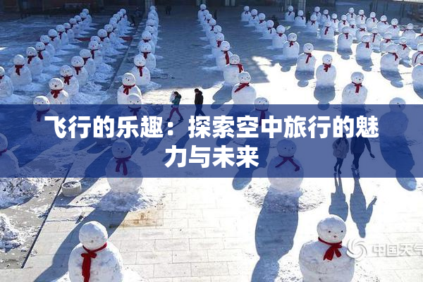 飞行的乐趣：探索空中旅行的魅力与未来
