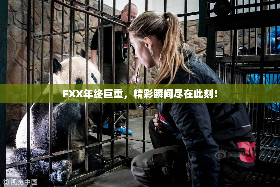 FXX年终巨重，精彩瞬间尽在此刻！