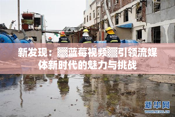 新发现：▓蓝莓视频▓引领流媒体新时代的魅力与挑战