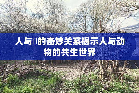 人与嘼的奇妙关系揭示人与动物的共生世界