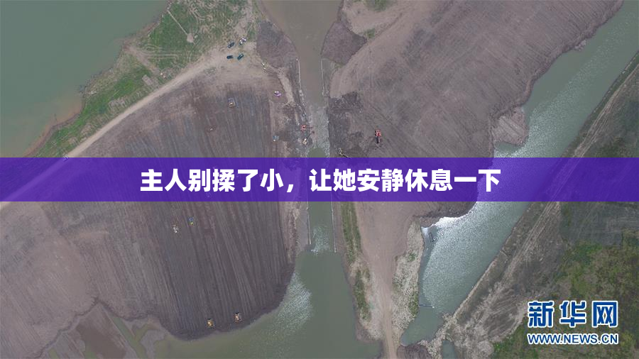 主人别揉了小，让她安静休息一下
