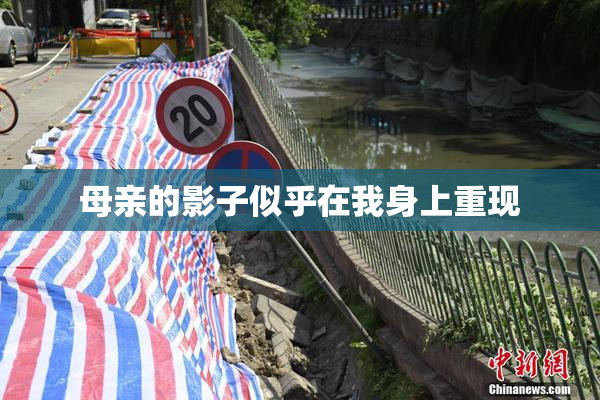 母亲的影子似乎在我身上重现