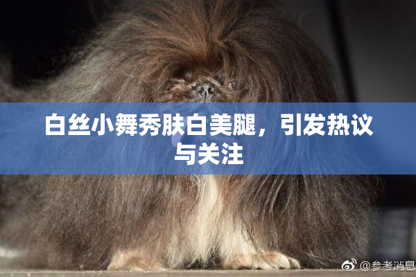 白丝小舞秀肤白美腿，引发热议与关注