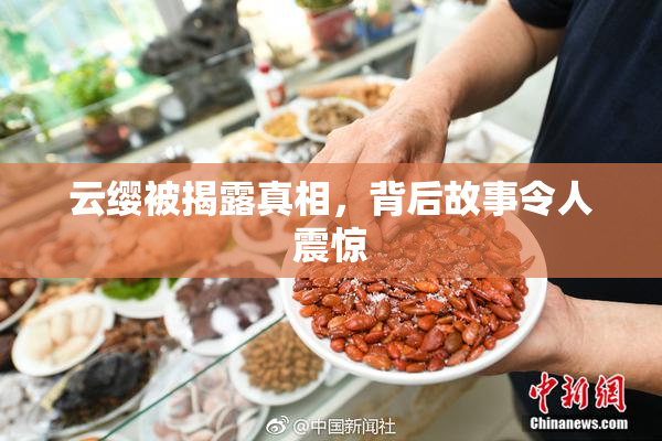 云缨被揭露真相，背后故事令人震惊