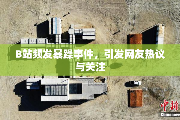 B站频发暴躁事件，引发网友热议与关注