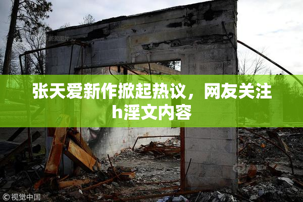张天爱新作掀起热议，网友关注h淫文内容