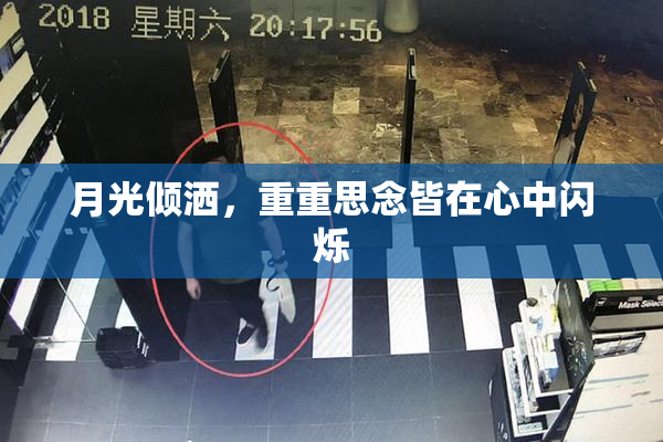 月光倾洒，重重思念皆在心中闪烁