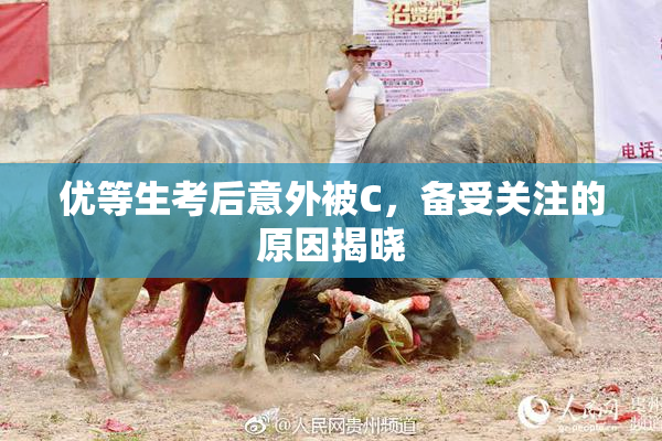 优等生考后意外被C，备受关注的原因揭晓