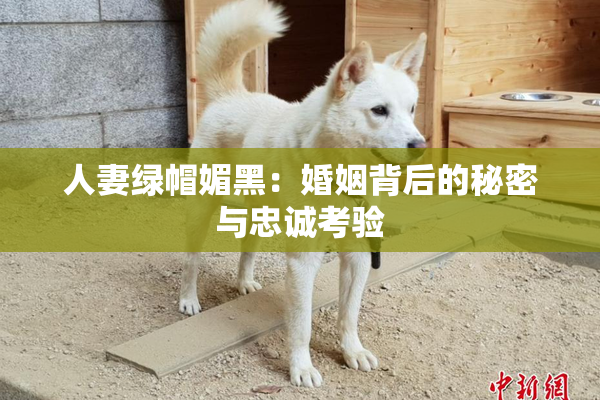 人妻绿帽媚黑：婚姻背后的秘密与忠诚考验