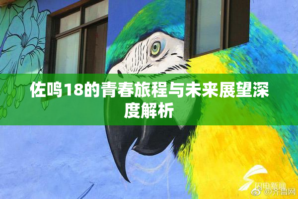 佐鸣18的青春旅程与未来展望深度解析