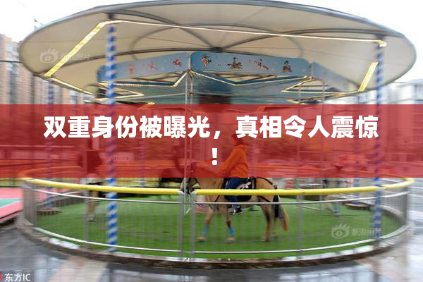 双重身份被曝光，真相令人震惊！