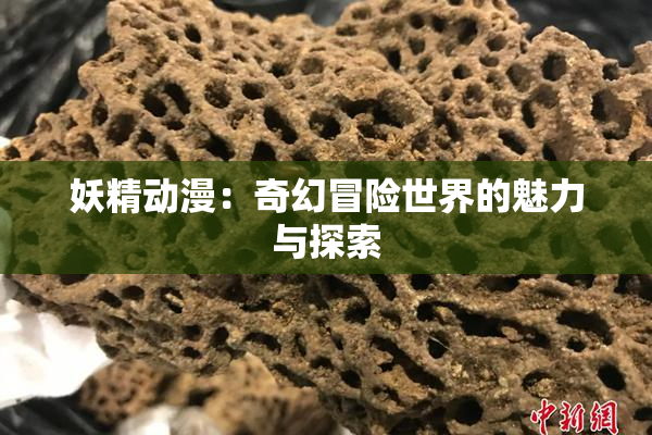 妖精动漫：奇幻冒险世界的魅力与探索
