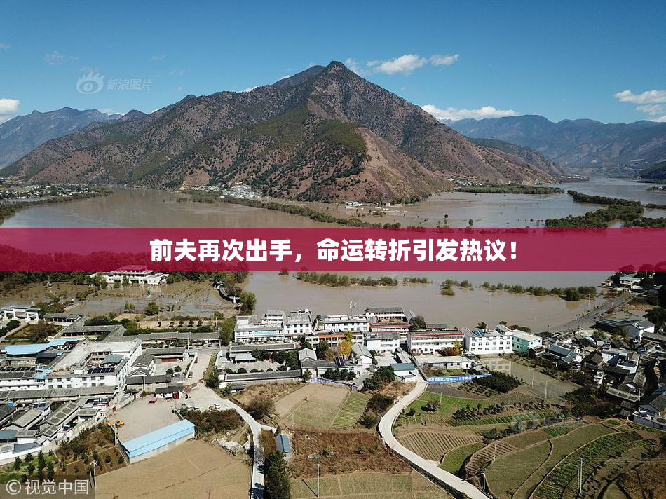 前夫再次出手，命运转折引发热议！