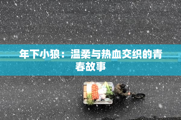 年下小狼：温柔与热血交织的青春故事