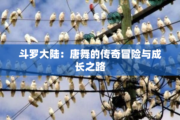 斗罗大陆：唐舞的传奇冒险与成长之路