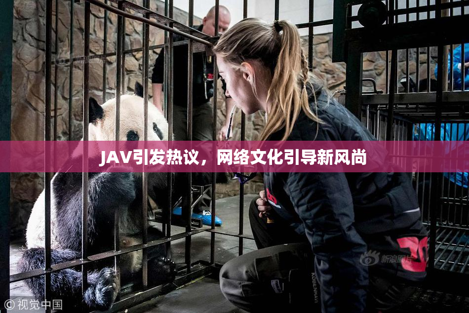 JAV引发热议，网络文化引导新风尚
