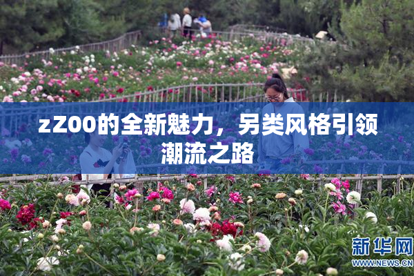 zZ00的全新魅力，另类风格引领潮流之路