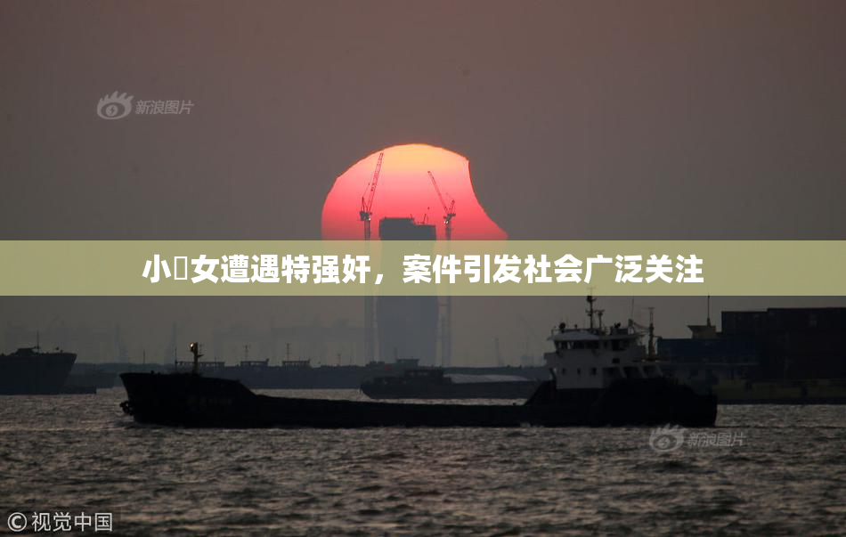 小處女遭遇特强奸，案件引发社会广泛关注