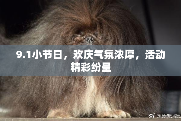 9.1小节日，欢庆气氛浓厚，活动精彩纷呈