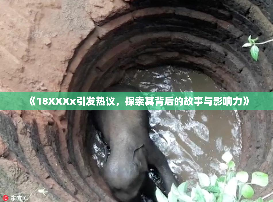 《18XXXx引发热议，探索其背后的故事与影响力》