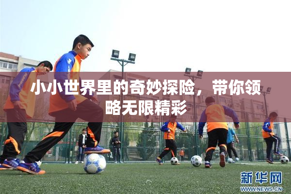 小小世界里的奇妙探险，带你领略无限精彩