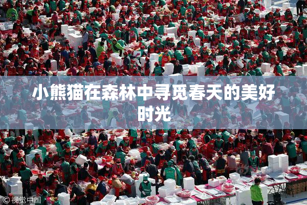小熊猫在森林中寻觅春天的美好时光