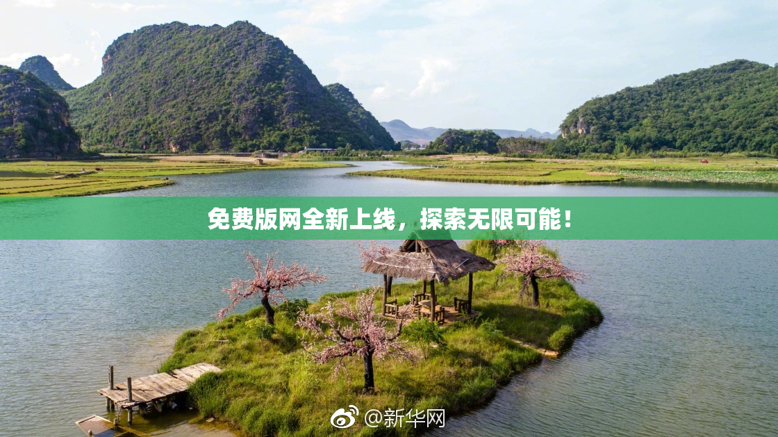 免费版网全新上线，探索无限可能！
