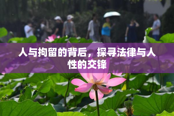 人与拘留的背后，探寻法律与人性的交锋