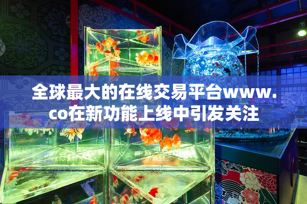 全球最大的在线交易平台www.co在新功能上线中引发关注