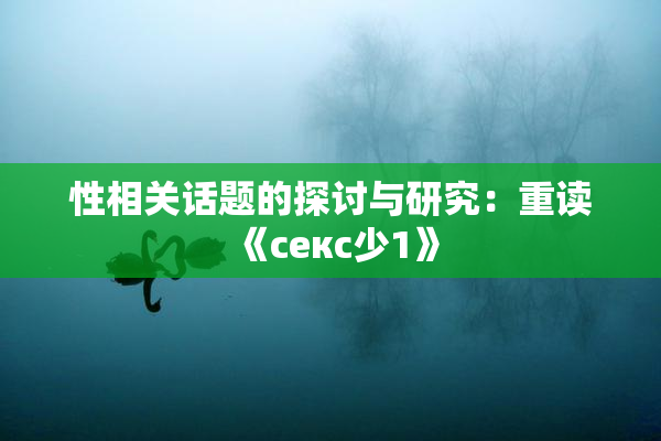 性相关话题的探讨与研究：重读《секс少1》