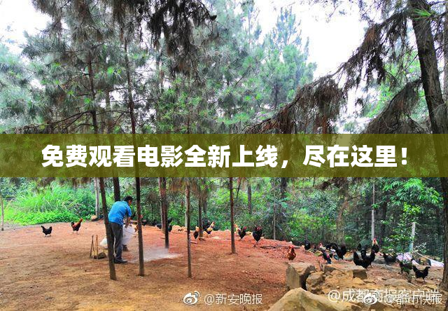 免费观看电影全新上线，尽在这里！